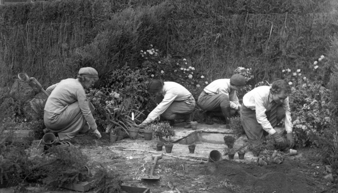 Four women working in a garden bed